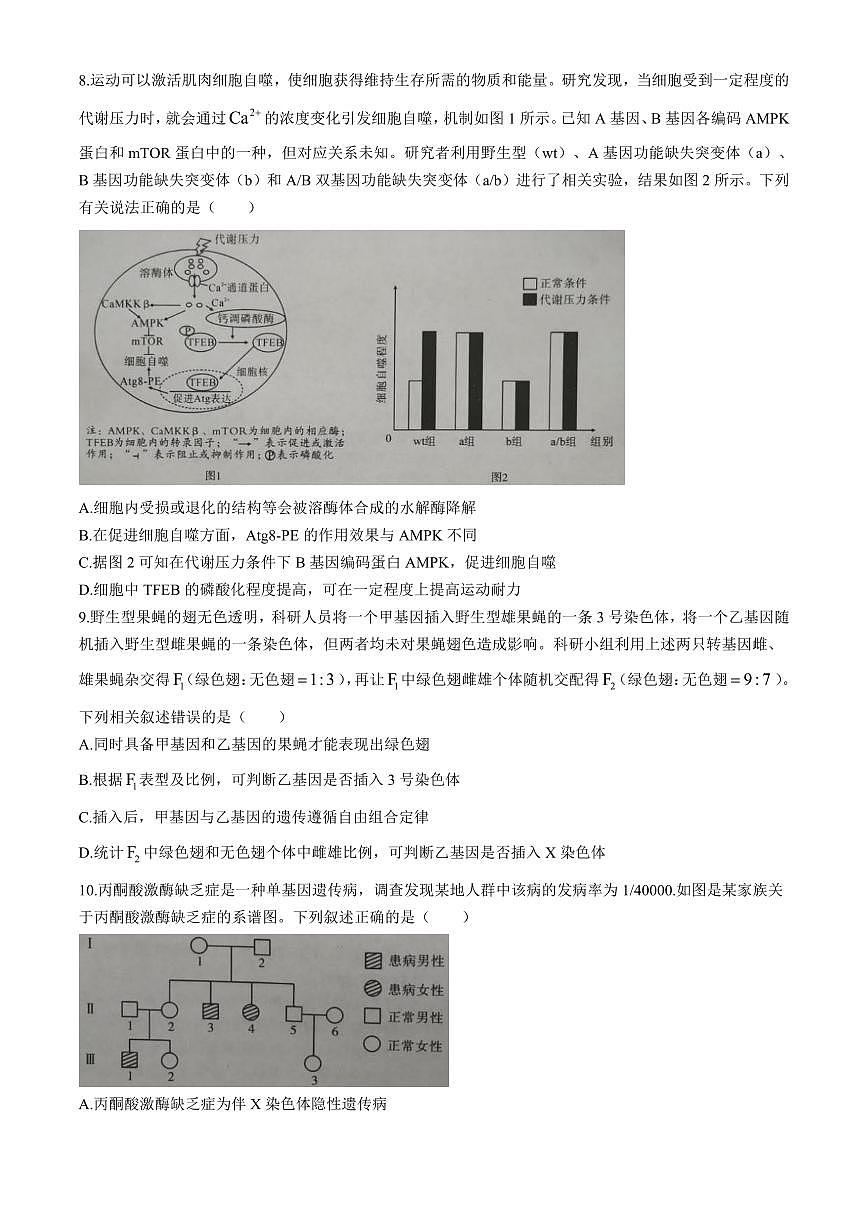 生物丨湖北省孝感市2026届高三上学期1月第一次统一考试试卷及答案第3页