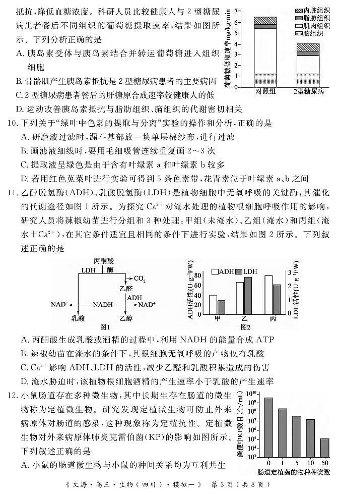 生物丨四川省黄冈八模2026届高三上学期1月模拟测试卷（一）试卷及答案第3页