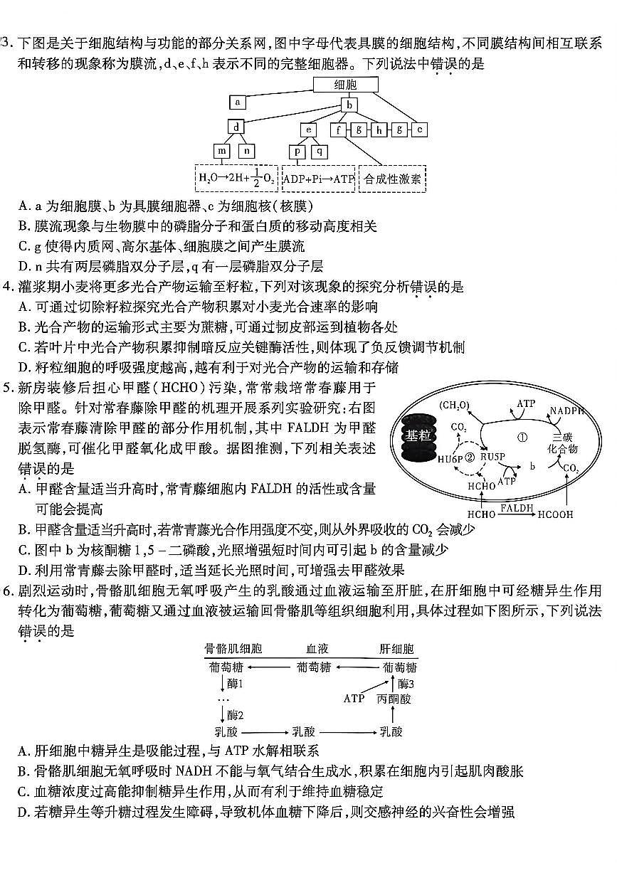 重庆市南开中学2026届高三上学期第五次质量检测生物试卷（无答案）第2页