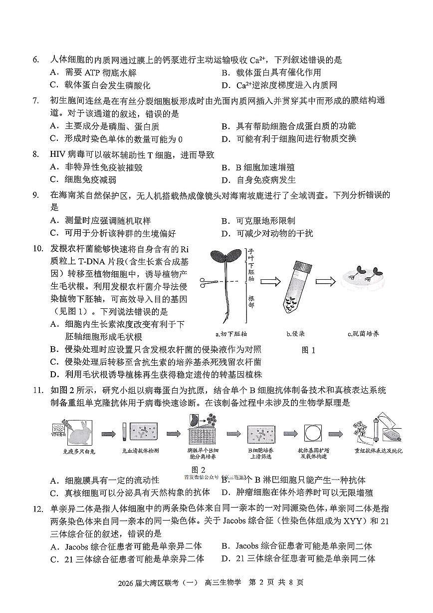 生物第2页