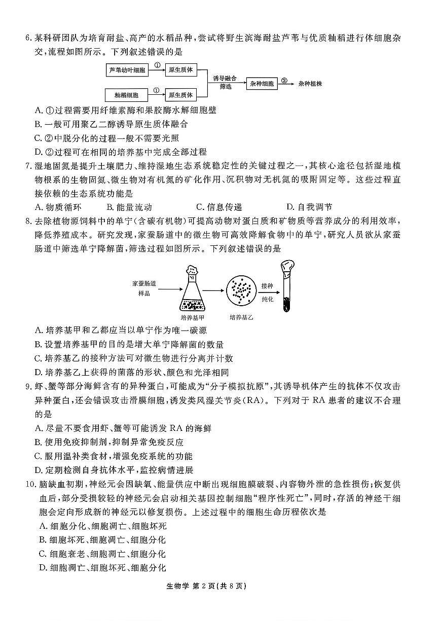 2026年衡水金卷高三上学期期末生物试题及答案第2页