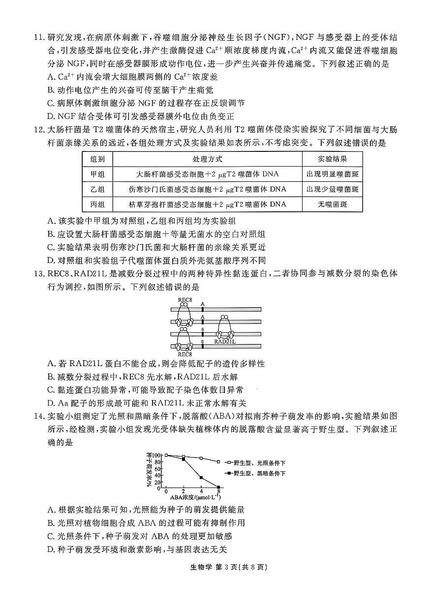 2026年衡水金卷高三上学期期末生物试题及答案第3页