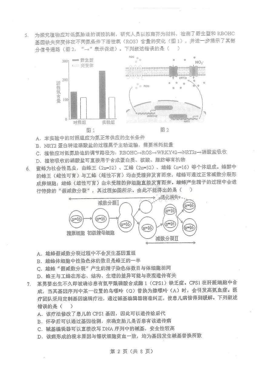 生物第2页