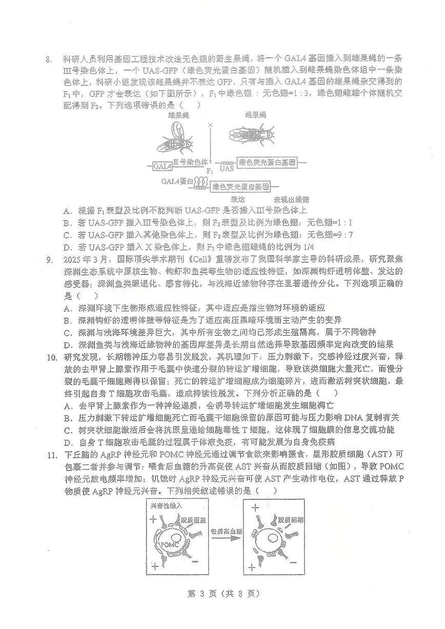 生物第3页