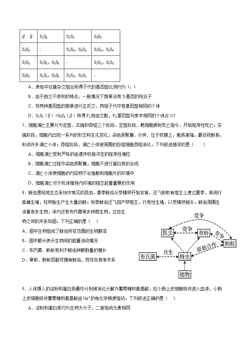 湖南省邵阳市第二中学2025-2026学年高二上学期12月学科竞赛生物试题（Word版附答案）第2页