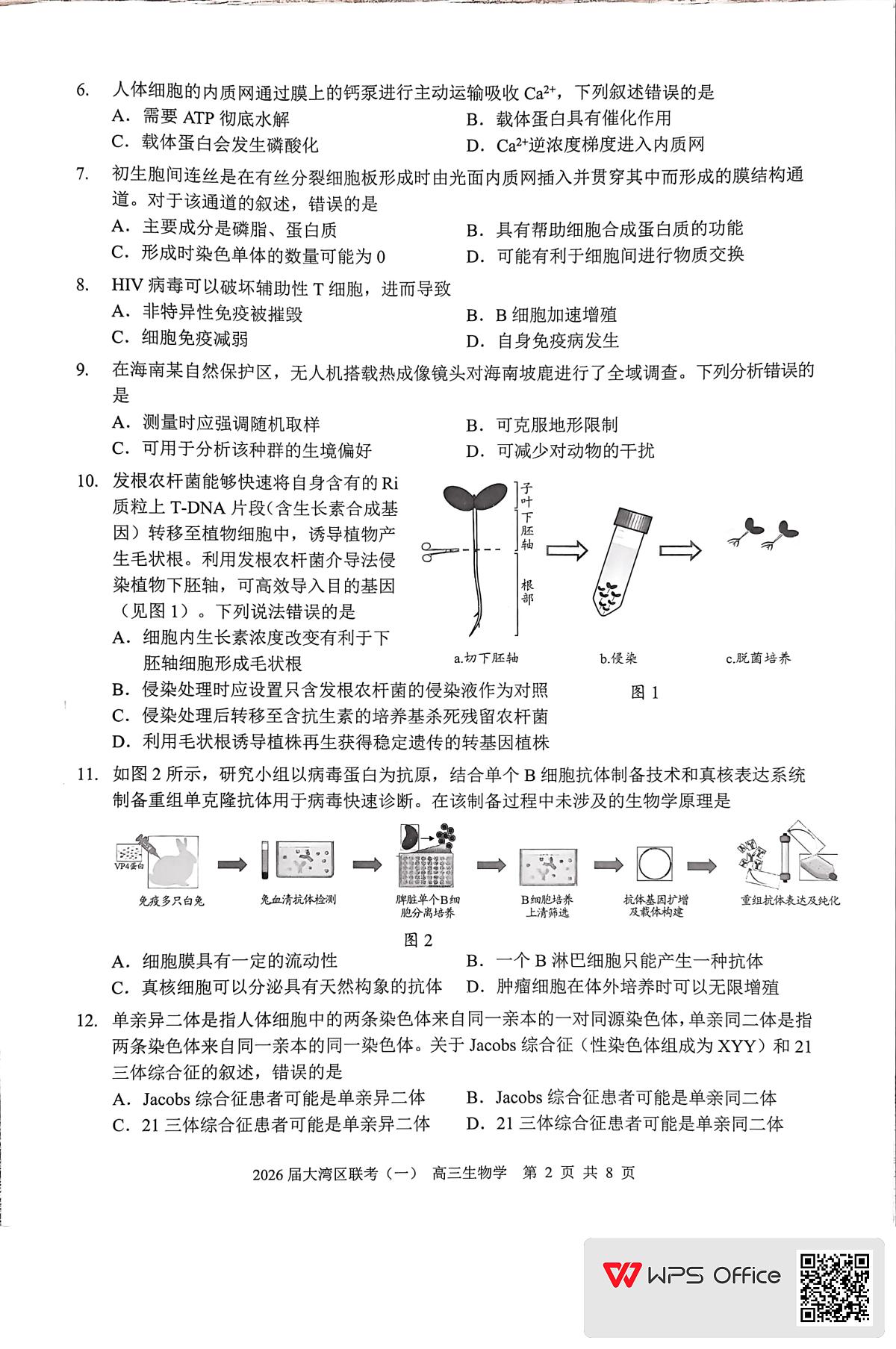 2026届大湾区普通高中毕业年级联合模拟考试(一)+生物学第2页