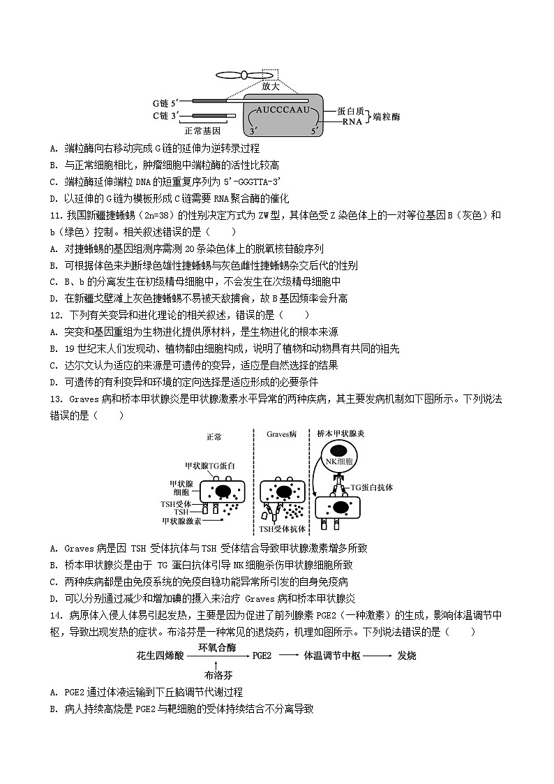 天津市静海区第一中学2026届高三上学期12月月考生物试题（Word版附答案）第3页