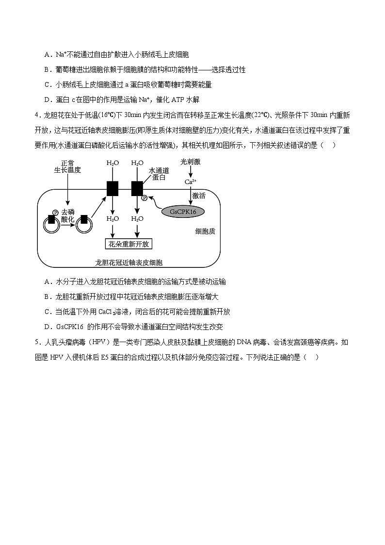 云南省玉溪第一中学2026届高三上学期适应性测试（十）生物试题（Word版附答案）第2页