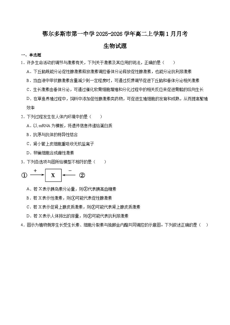 内蒙古鄂尔多斯市第一中学2025-2026学年高二上学期1月月考生物试题（Word版附答案）第1页