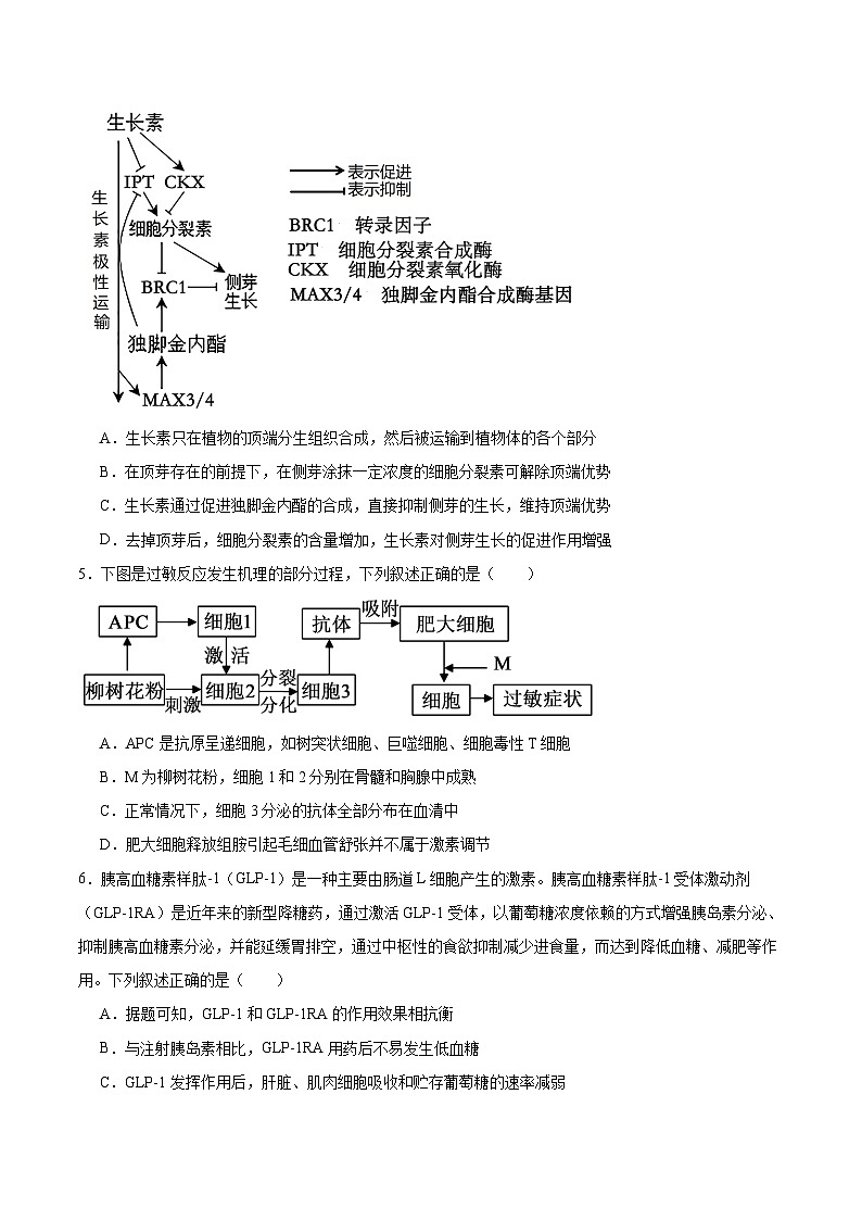 内蒙古鄂尔多斯市第一中学2025-2026学年高二上学期1月月考生物试题（Word版附答案）第2页
