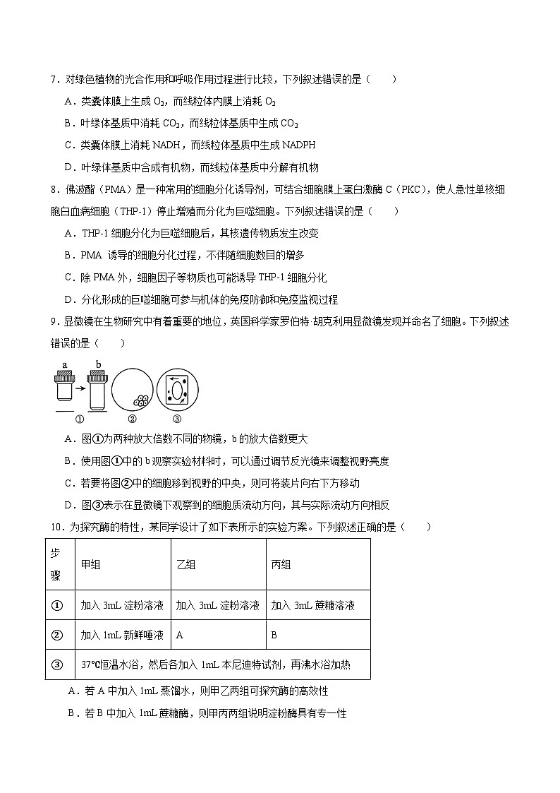 内蒙古鄂尔多斯市第一中学2025-2026学年高一上学期1月月考生物试题（Word版附答案）第3页