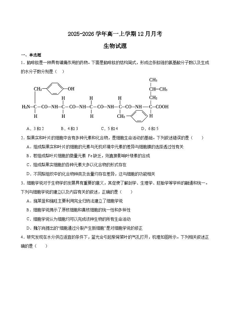 内蒙古集宁一中2025-2026学年高一上学期12月月考生物试题（Word版附答案）第1页