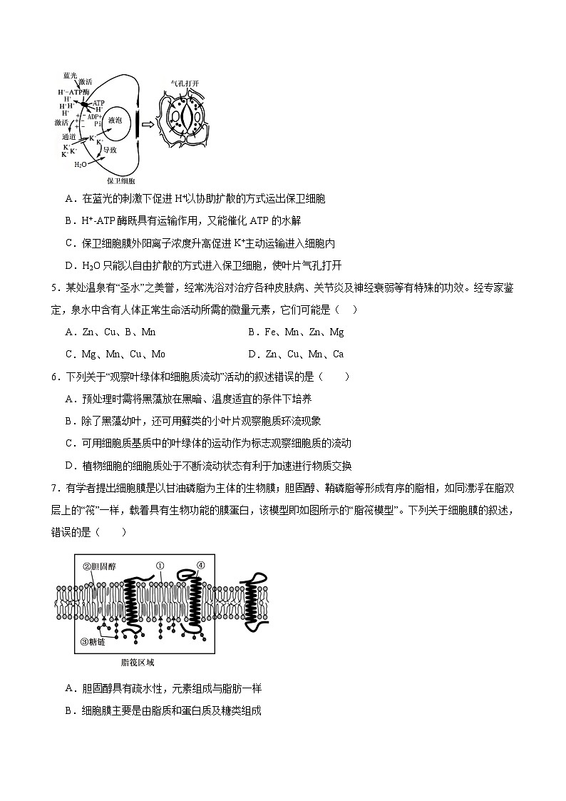 内蒙古集宁一中2025-2026学年高一上学期12月月考生物试题（Word版附答案）第2页