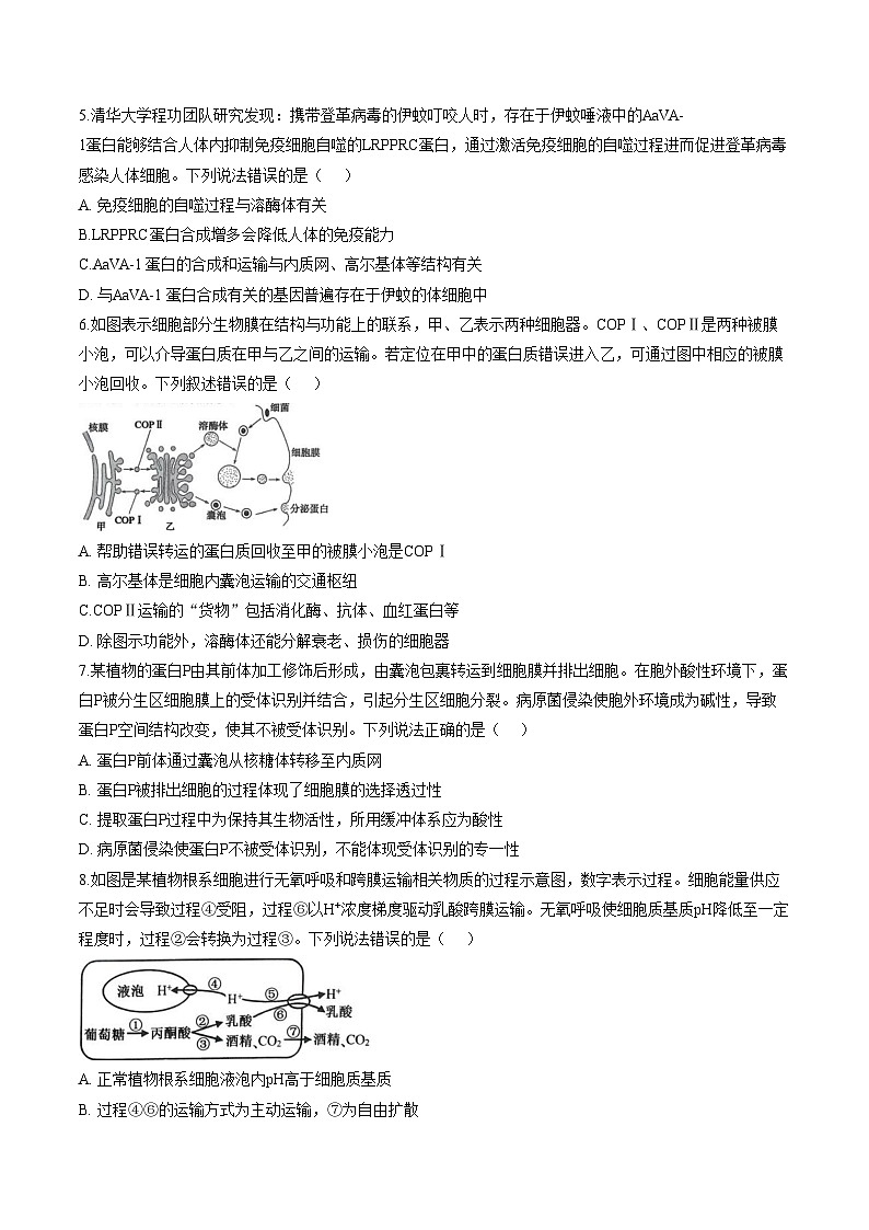 山东省德州市某校2025_2026学年高一上学期期末模拟二生物试题（文字版，含答案）第2页