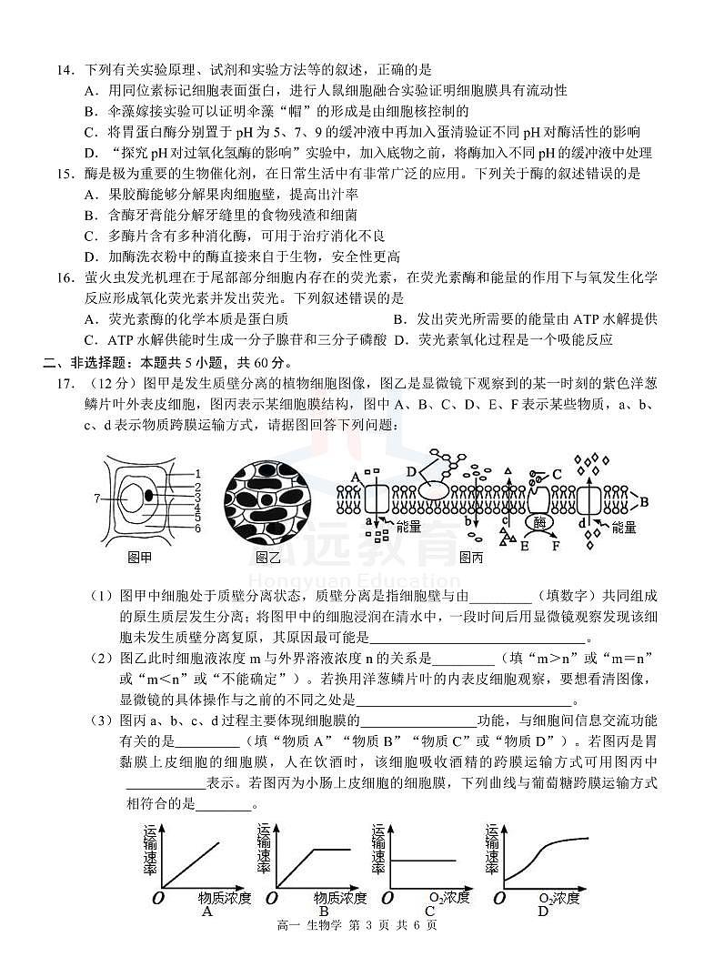 广西河池市2024-2025学年高一上学期12月联盟考试生物试卷（无答案）第3页