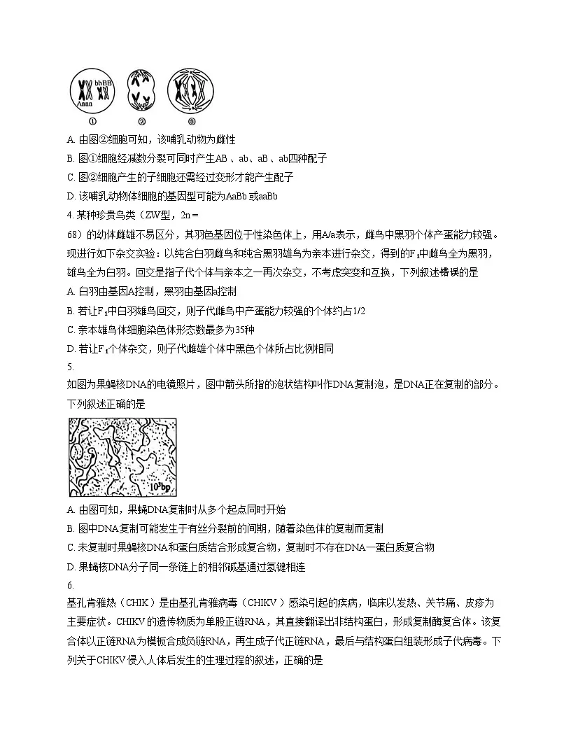 江西省宜春市十校协作体联考2025_2026学年高二上学期12月联考生物学试题（文字版，含答案）第2页