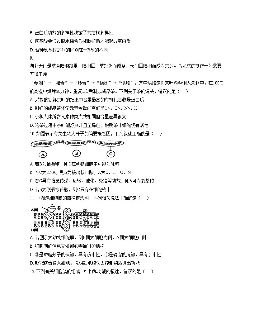 天津市静海区第六中学2025_2026学年高一上学期12月月考生物试题（文字版，含答案）第3页