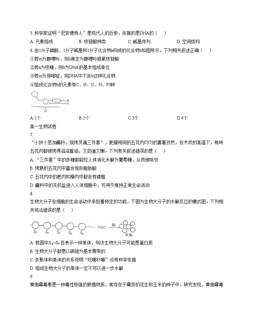 吉林省延边朝鲜族自治州延吉市延边第二中学2025_2026学年高一上学期12月月考生物试题（文字版，含答案）第2页