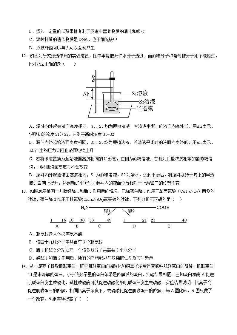 2025-2026学年高一上学期期末模拟人教版生物试卷（新高考通用）第3页