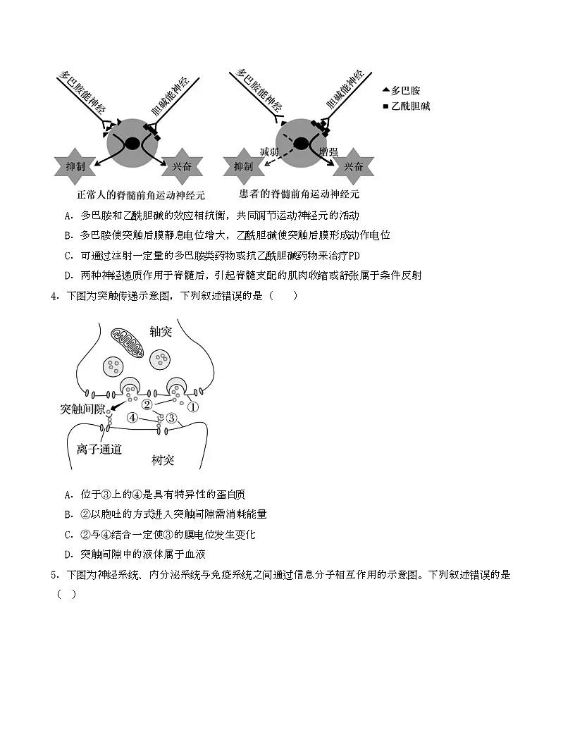 2025-2026学年高二上学期期末模拟人教版生物试卷（新高考通用）第2页