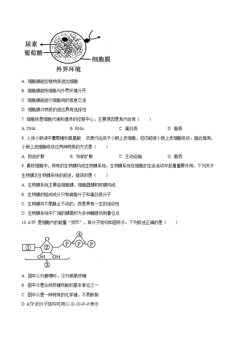 四川省泸州市2025-2026学年高一上学期期末质量监测生物试卷第2页