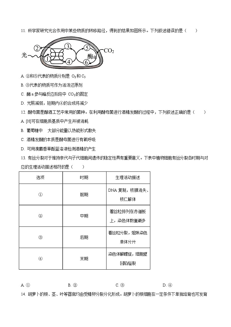 四川省泸州市2025-2026学年高一上学期期末质量监测生物试卷第3页