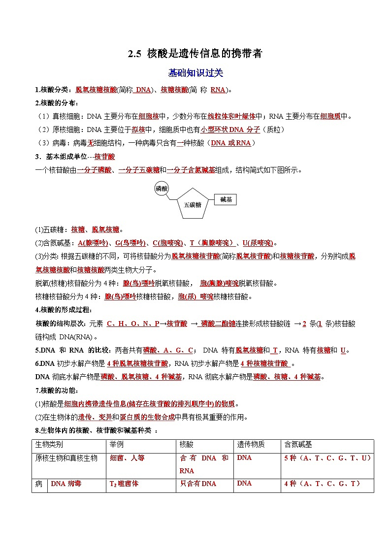 2.5 核酸是遗传信息的携带者（课后练习）--2025-2026学年高一上学期《生物》（人教版）必修1第1页