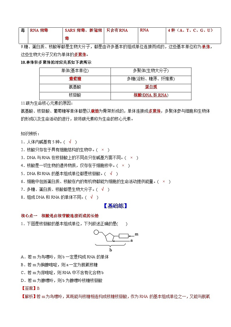 2.5 核酸是遗传信息的携带者（课后练习）--2025-2026学年高一上学期《生物》（人教版）必修1第2页