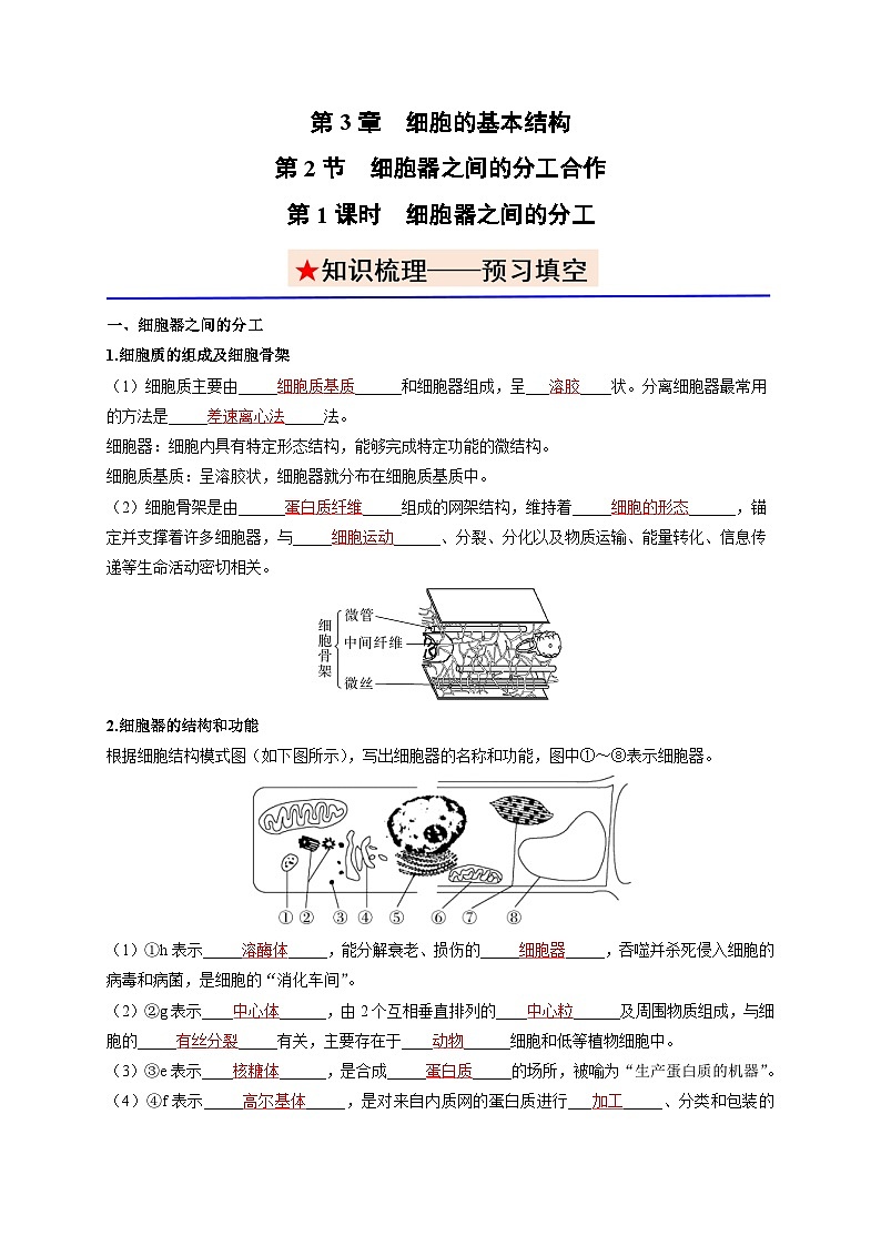 3.2.1 细胞器之间的分工 讲义--2025-2026学年高一上学期《生物》（人教版）必修1第1页