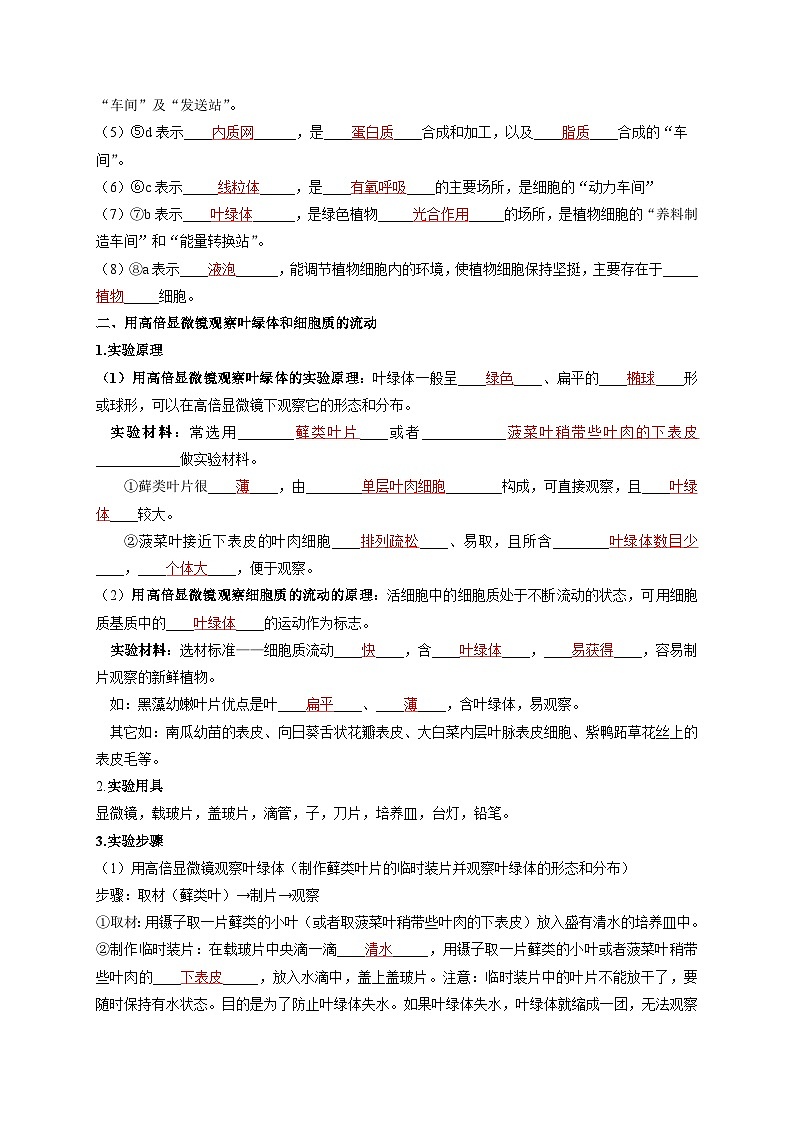 3.2.1 细胞器之间的分工 讲义--2025-2026学年高一上学期《生物》（人教版）必修1第2页