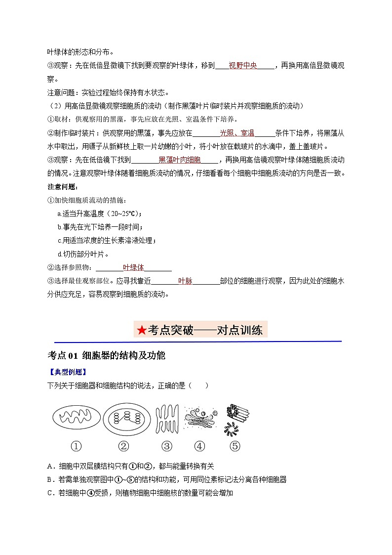 3.2.1 细胞器之间的分工 讲义--2025-2026学年高一上学期《生物》（人教版）必修1第3页