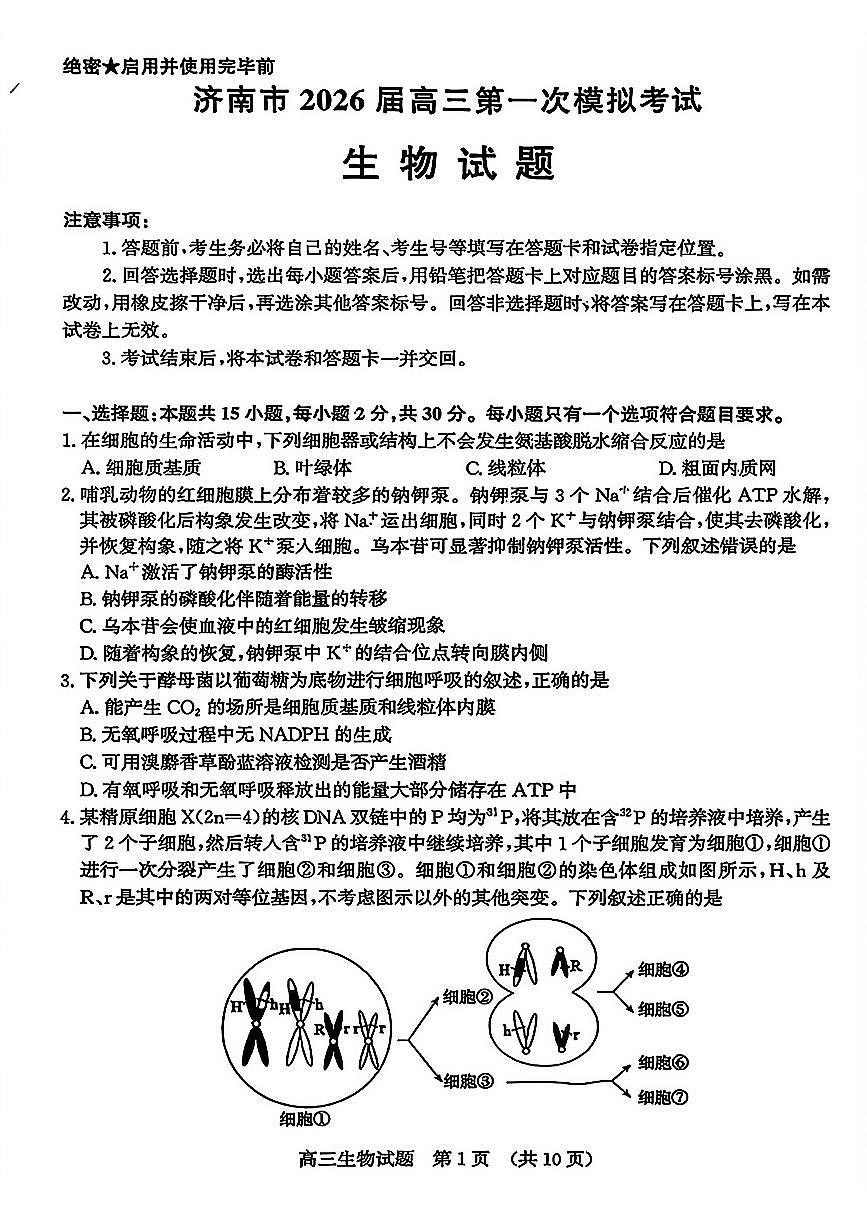 山东省济南市2026届上学期高三一模 生物试题及答案第1页
