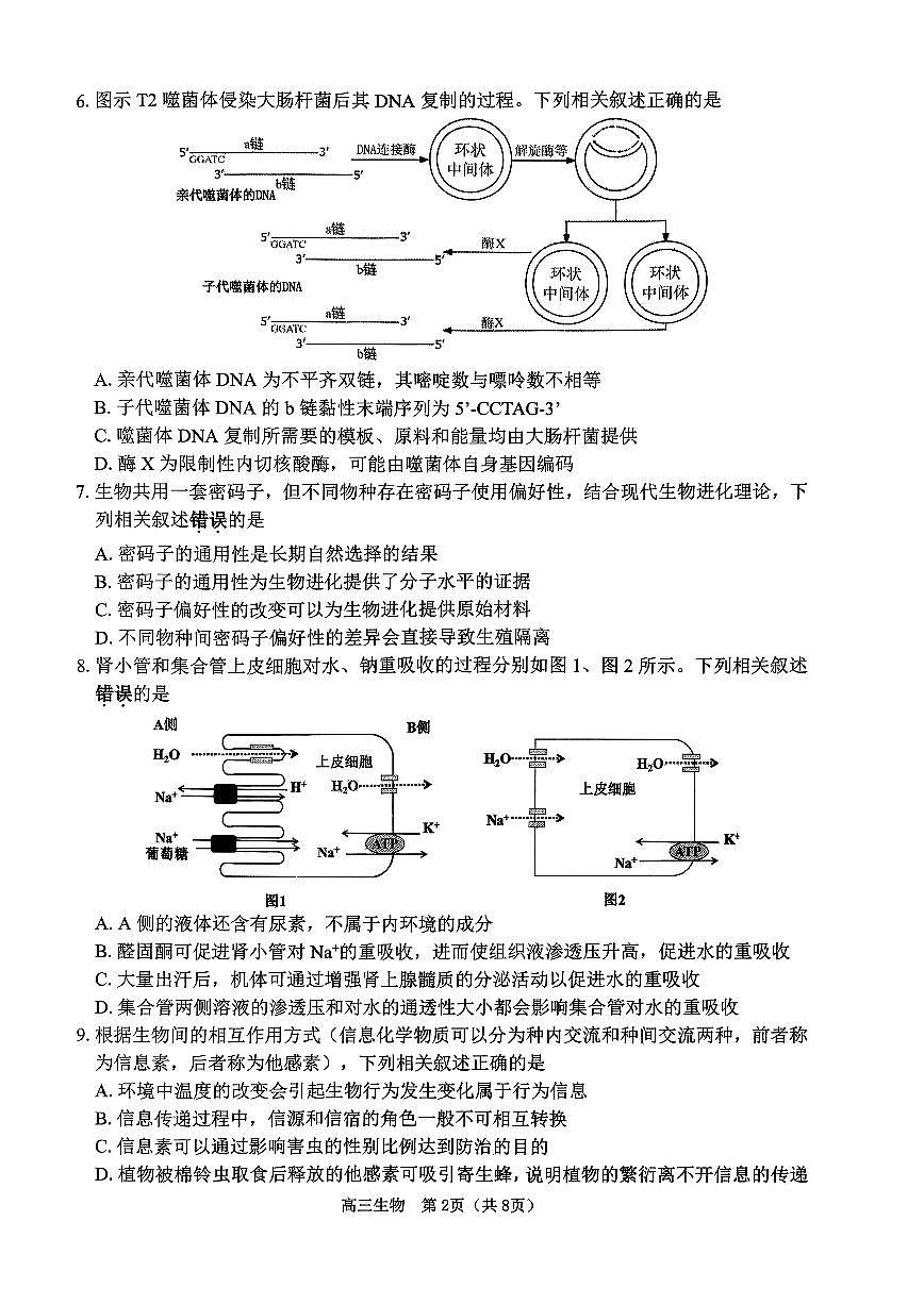 2026 届江苏省苏北四市（徐州、淮安、连云港、宿迁）高三一模 生物试题+答案第2页