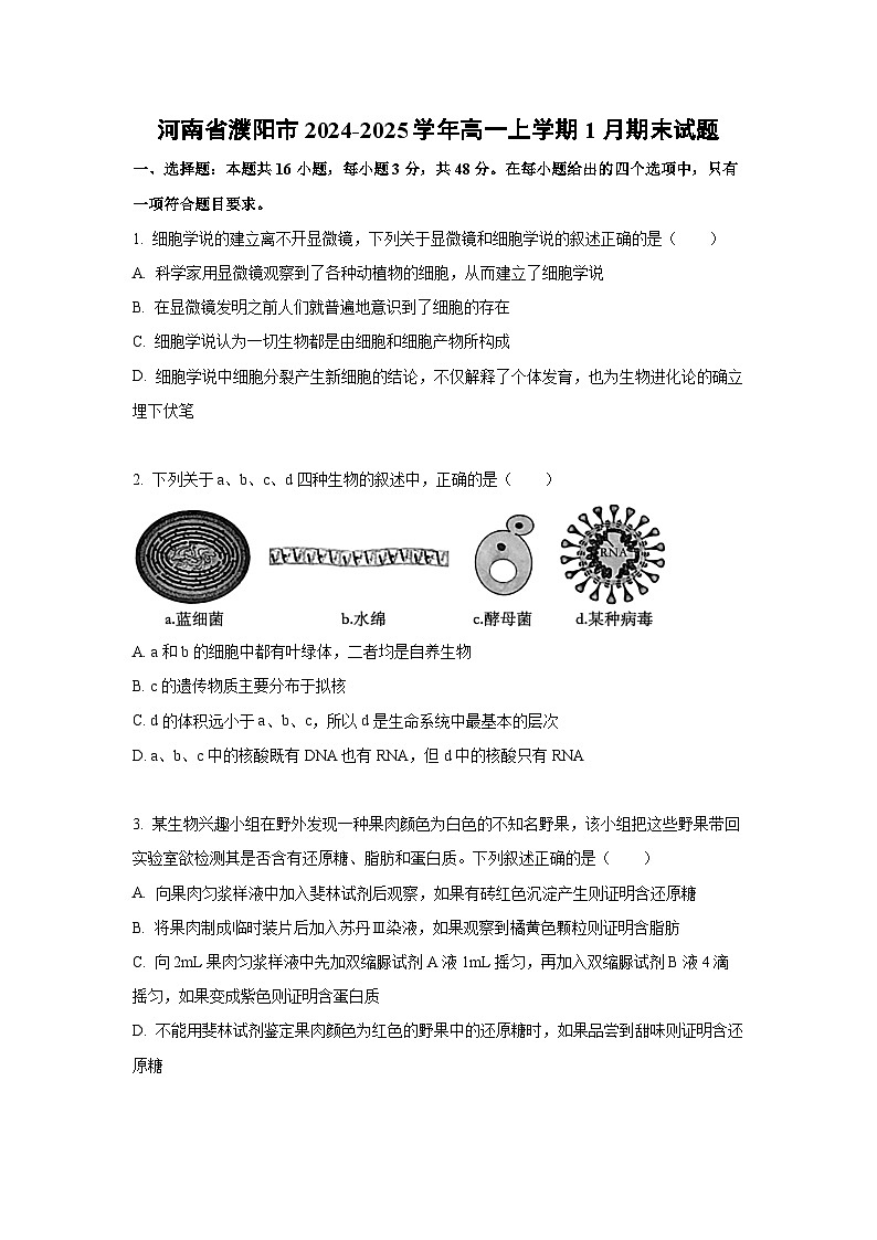 河南省濮阳市2024-2025学年高一上学期1月期末考试生物试题（Word解析版）第1页