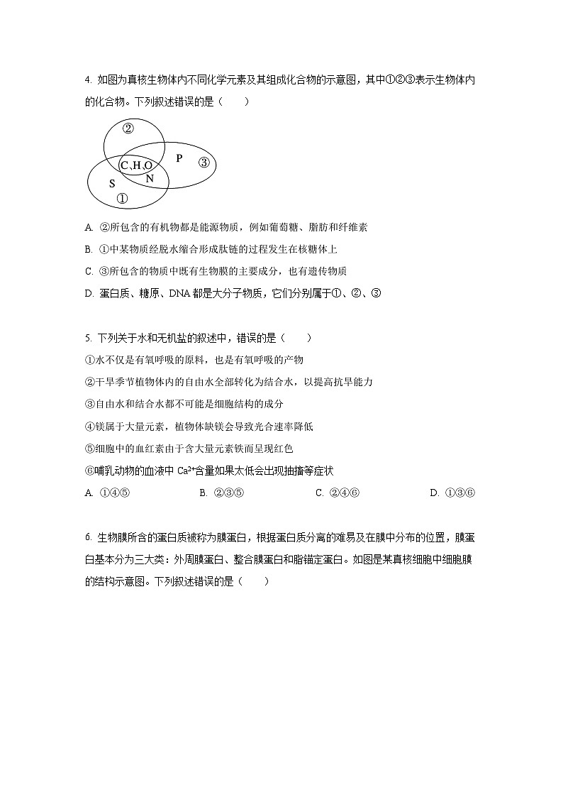 河南省濮阳市2024-2025学年高一上学期1月期末考试生物试题（Word解析版）第2页