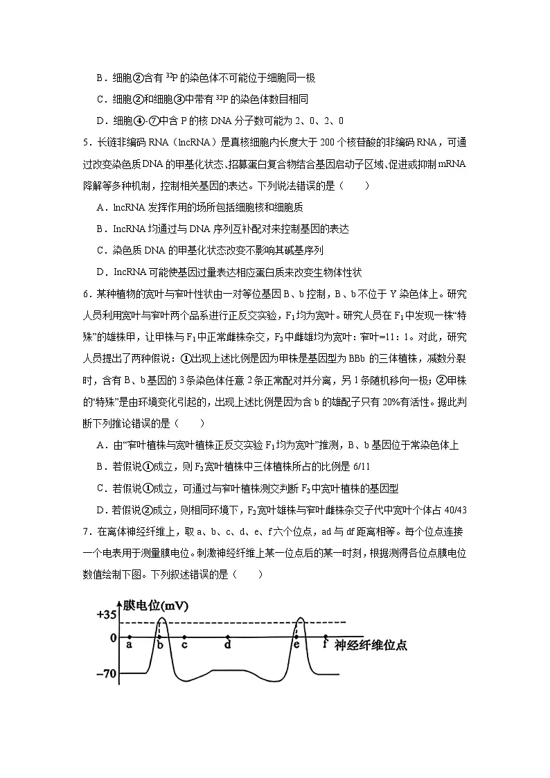 2026年济南市高三第一次模拟考试生物试卷（无答案）第2页