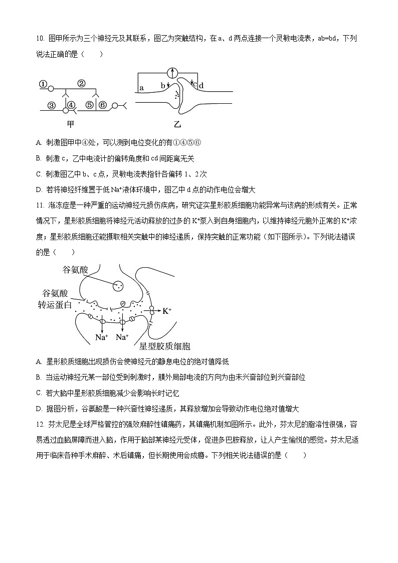 福建省福州市9校2024-2025学年高二上学期11月期中生物试题  Word版无答案(1)第3页