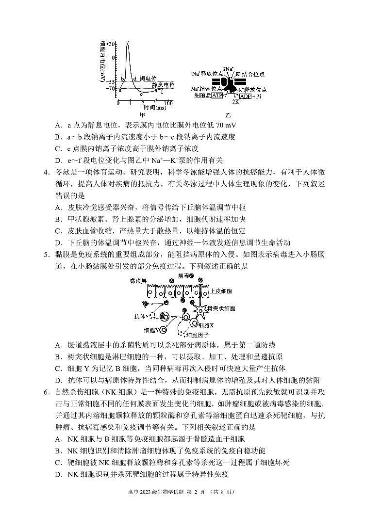 2024～2025学年度上期高中2023级期末联考生物学试题（8页）第2页