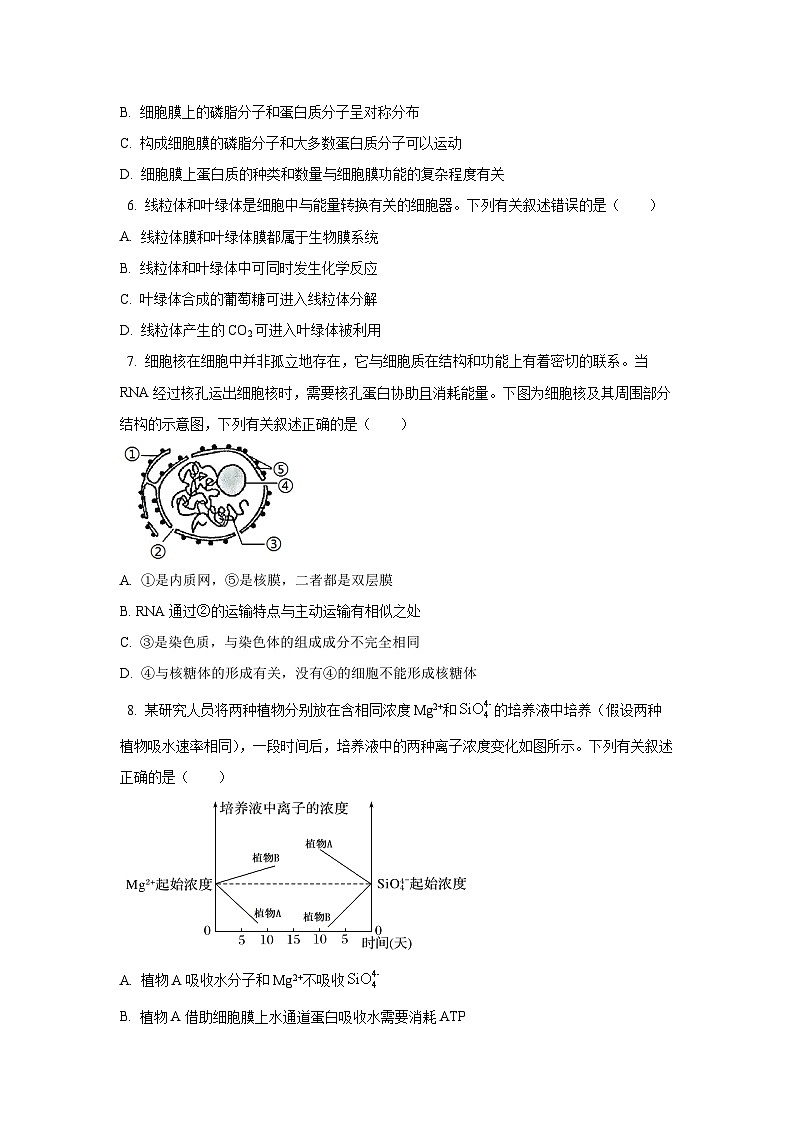 河南省周口市2024-2025学年高一上学期1月期末考试生物试题（Word解析版）第2页