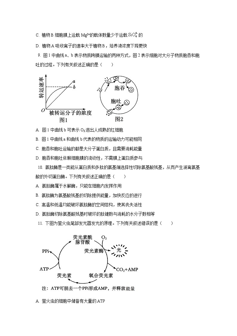 河南省周口市2024-2025学年高一上学期1月期末考试生物试题（Word解析版）第3页