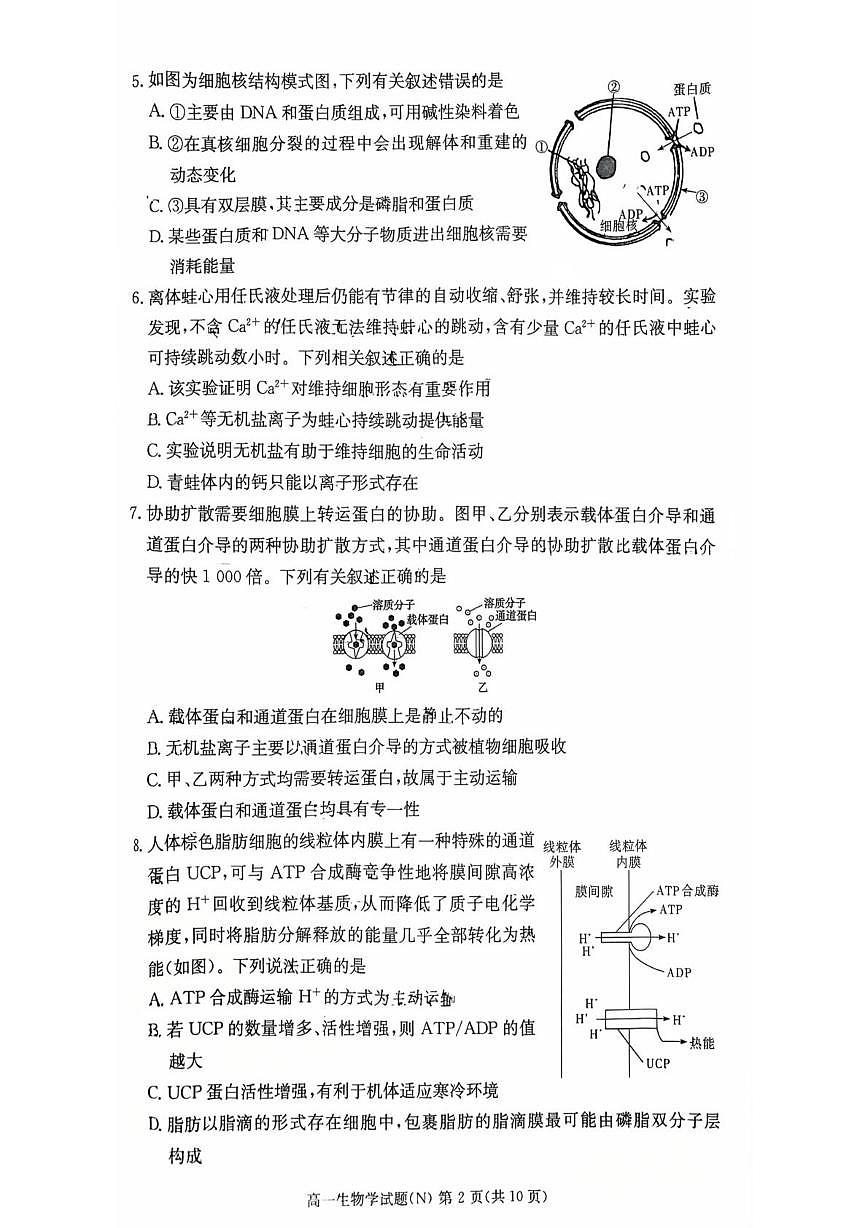 湖南省长沙市天心区长沙市长郡中学2025-2026学年高一上学期1月期末生物试题第2页