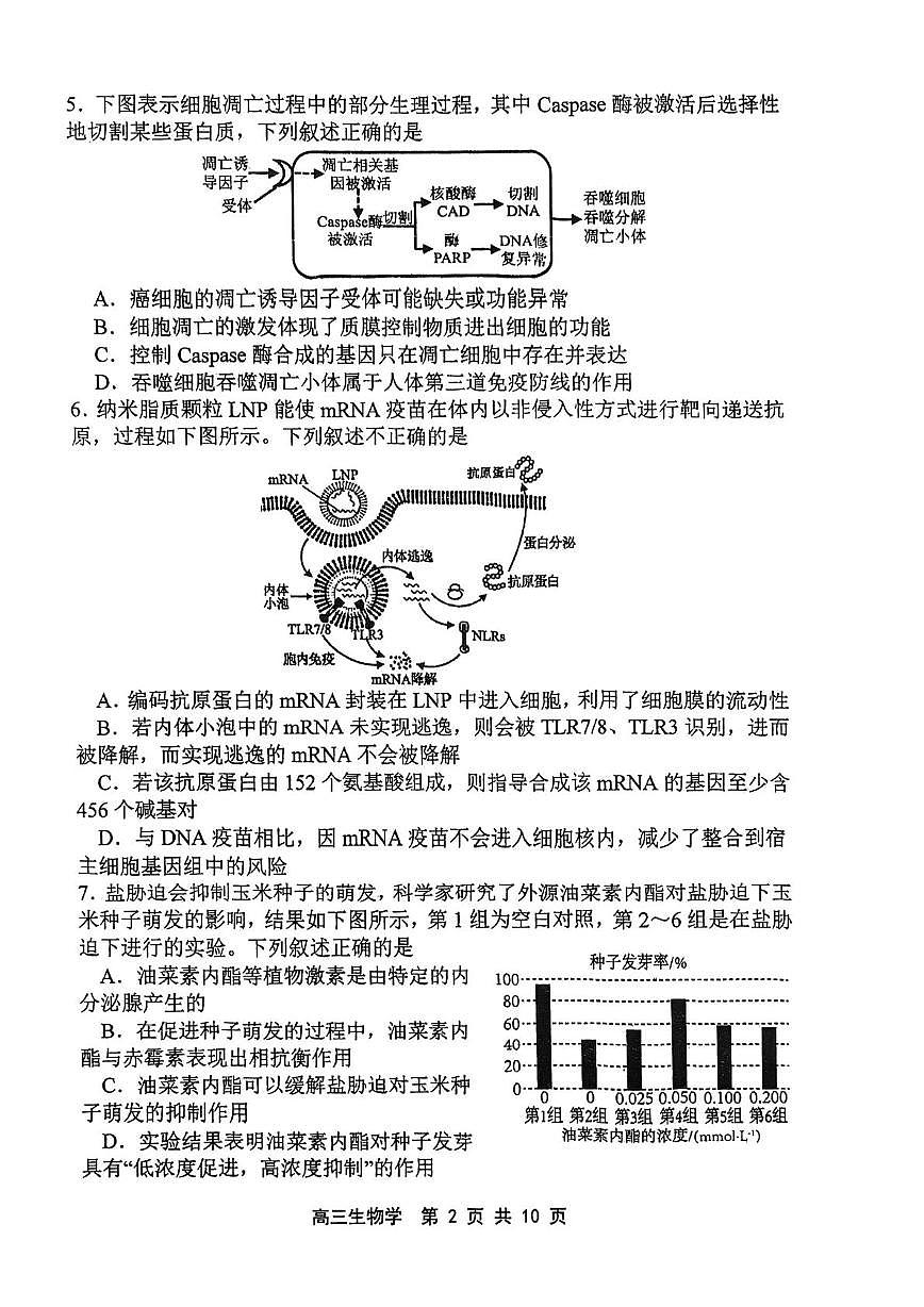 天津市五校联考2025-2026学年高三上学期期末考试生物试题第2页