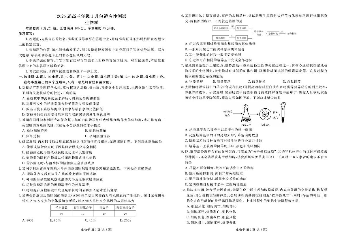 高三生物正文（2026届高三年级1月份适应性测试）第1页