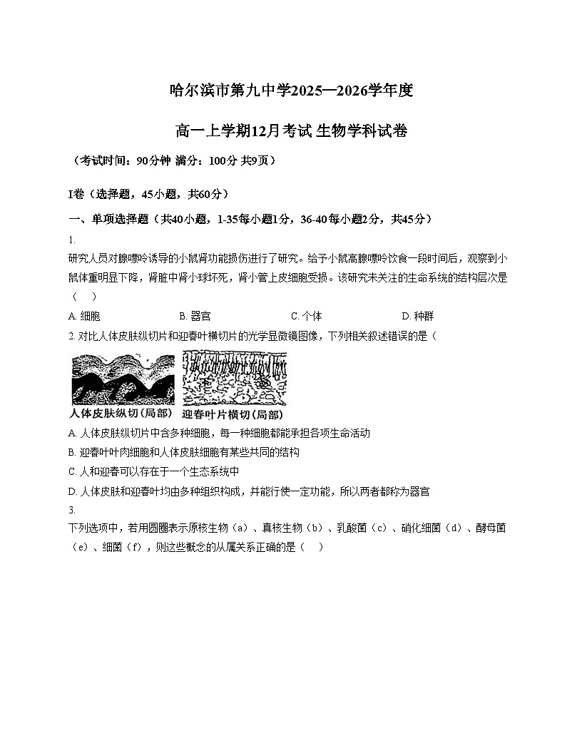 黑龙江省哈尔滨市第九中学校2025_2026学年高一上学期12月月考生物试题（文字版，含答案）第1页
