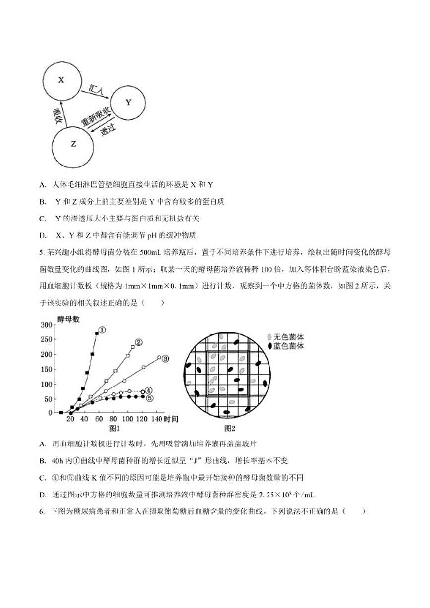 2025-2026学年安徽省滁州市定远县育才学校高二上学期1月月考生物试题（含答案）第2页