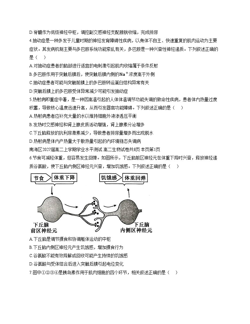 广东省佛山市南海区2025_2026学年高二上学期学业水平测试生物试卷（文字版，含答案）第2页