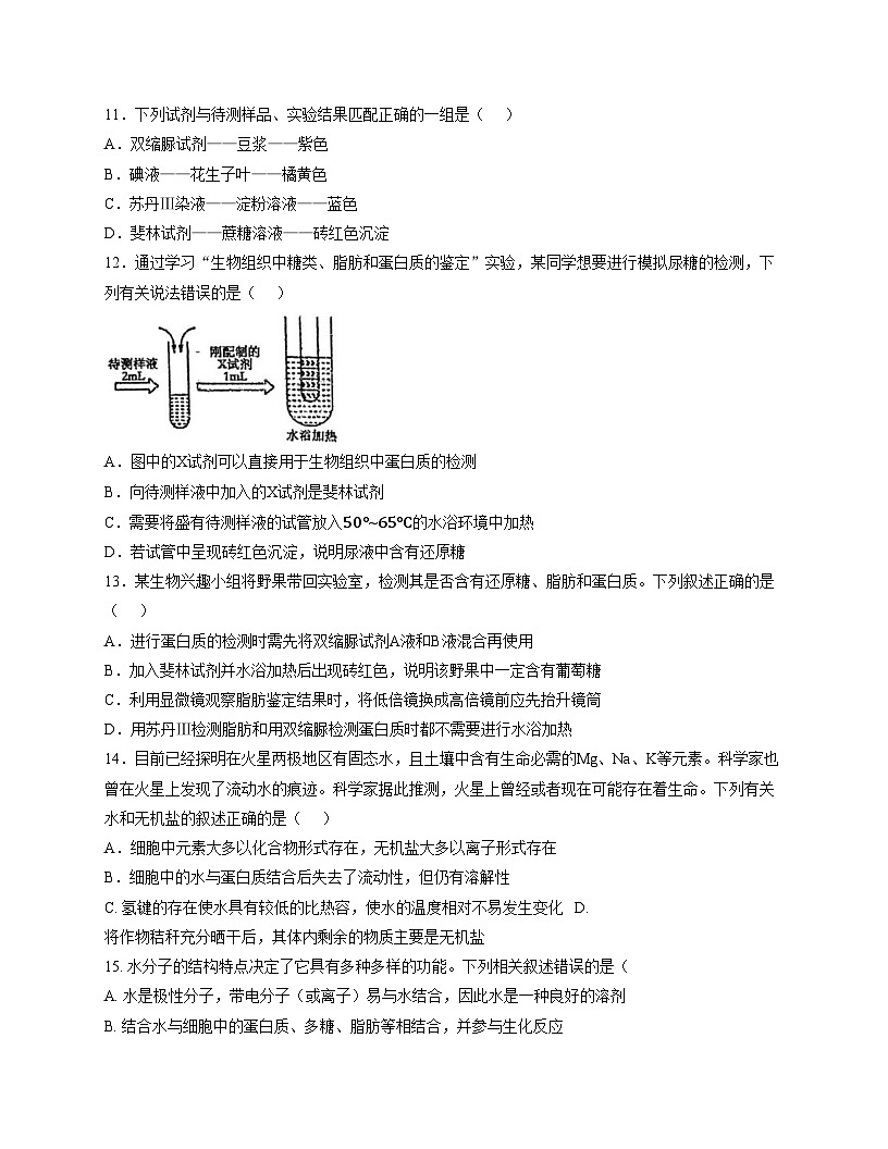 天津市河北区博文中学2025_2026学年秋高一上学期第一次月考生物试卷（文字版，含答案）第3页