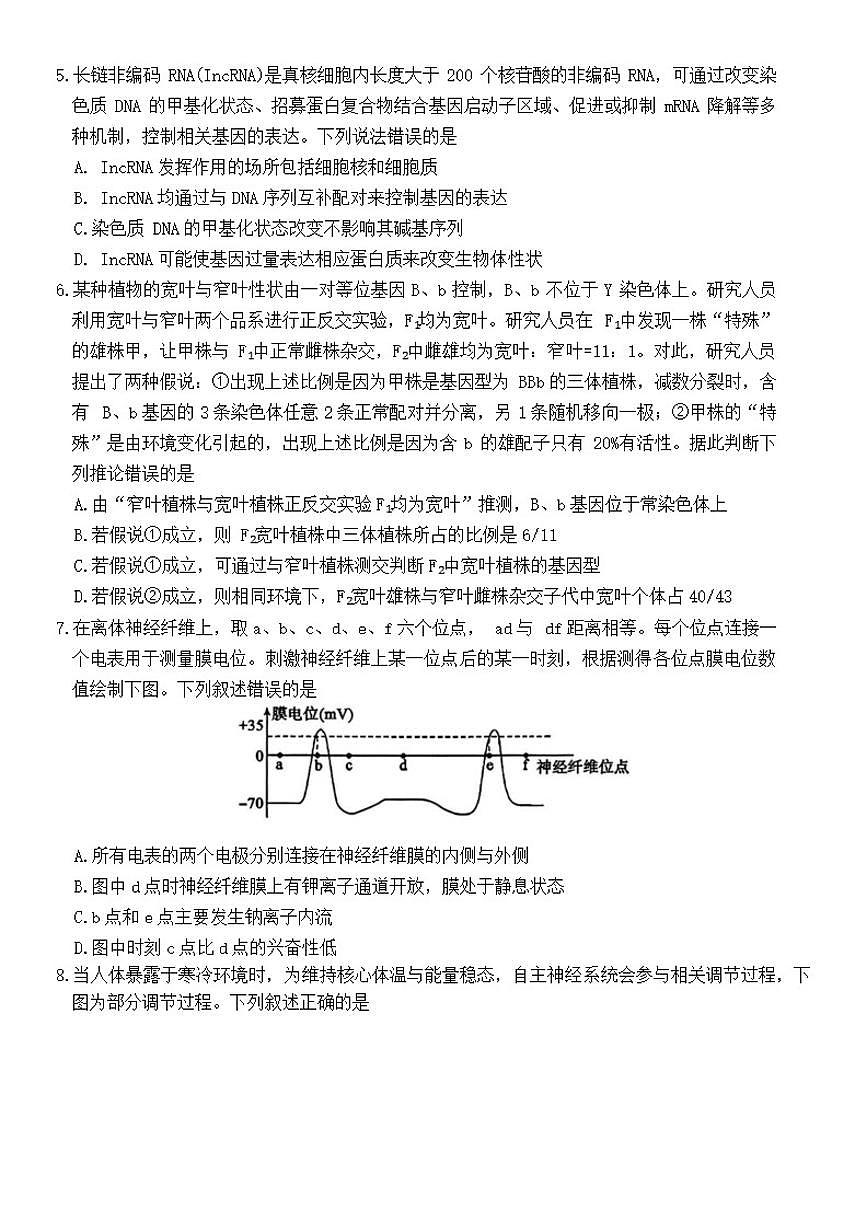 2025-2026年山东省济南市高三上第一次模拟考试生物学试卷（含答案）第2页