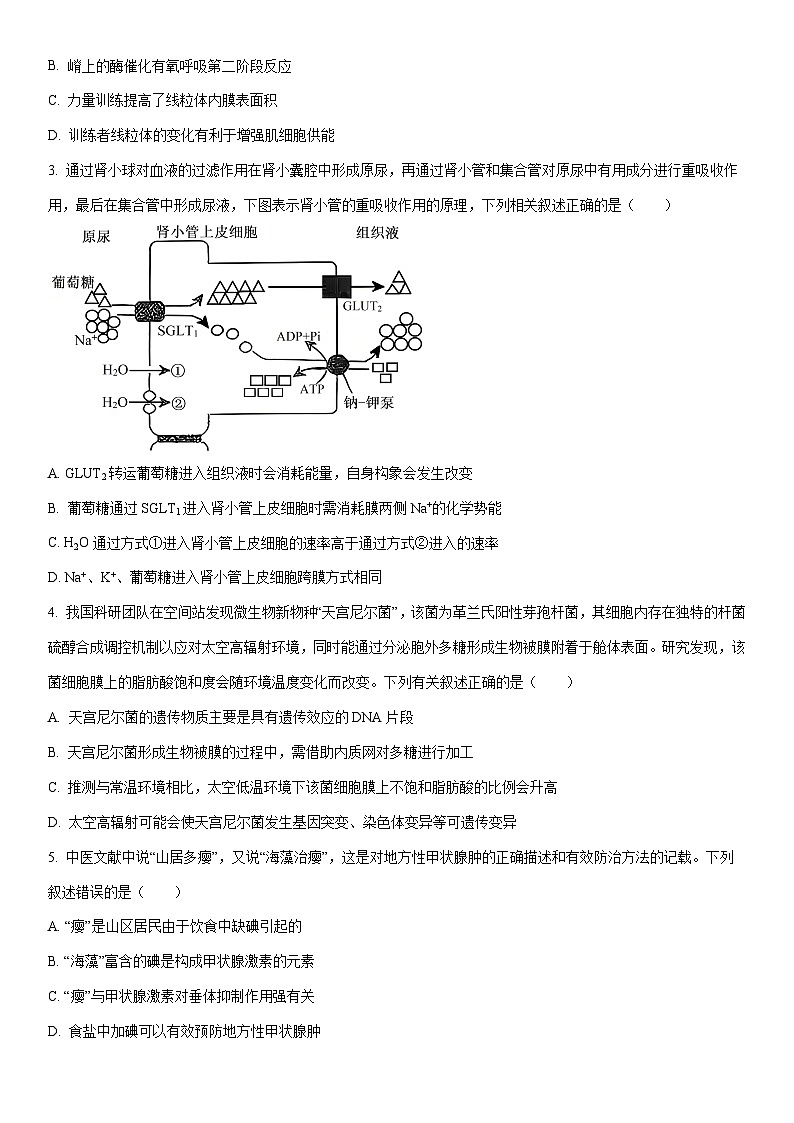 2026届陕西省延安市高三一模考试生物试卷（学生版）第2页