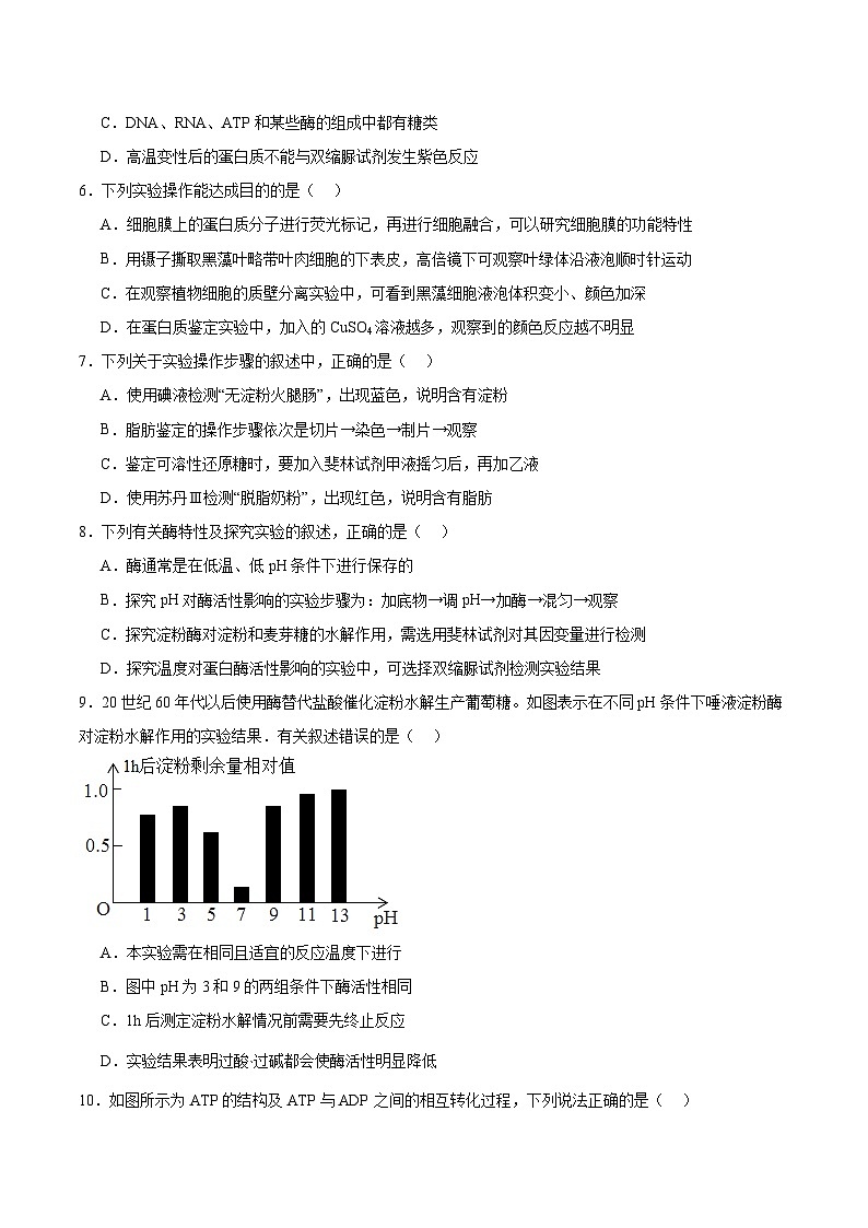 江苏省泰州中学2025-2026学年高一上学期第二次质量检测生物试题（Word版附答案）第2页